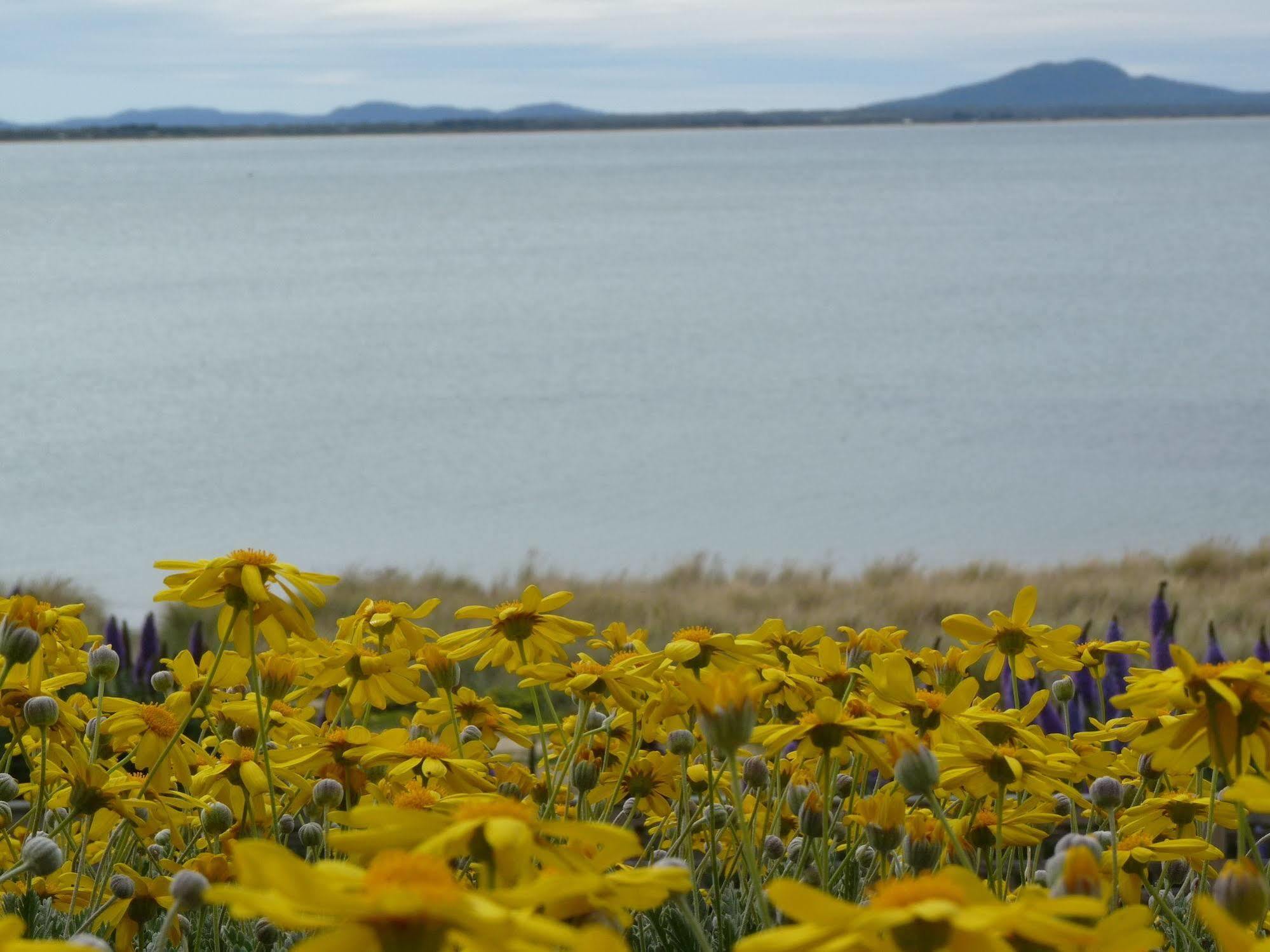 Swansea Motor Inn Tasmania Екстериор снимка