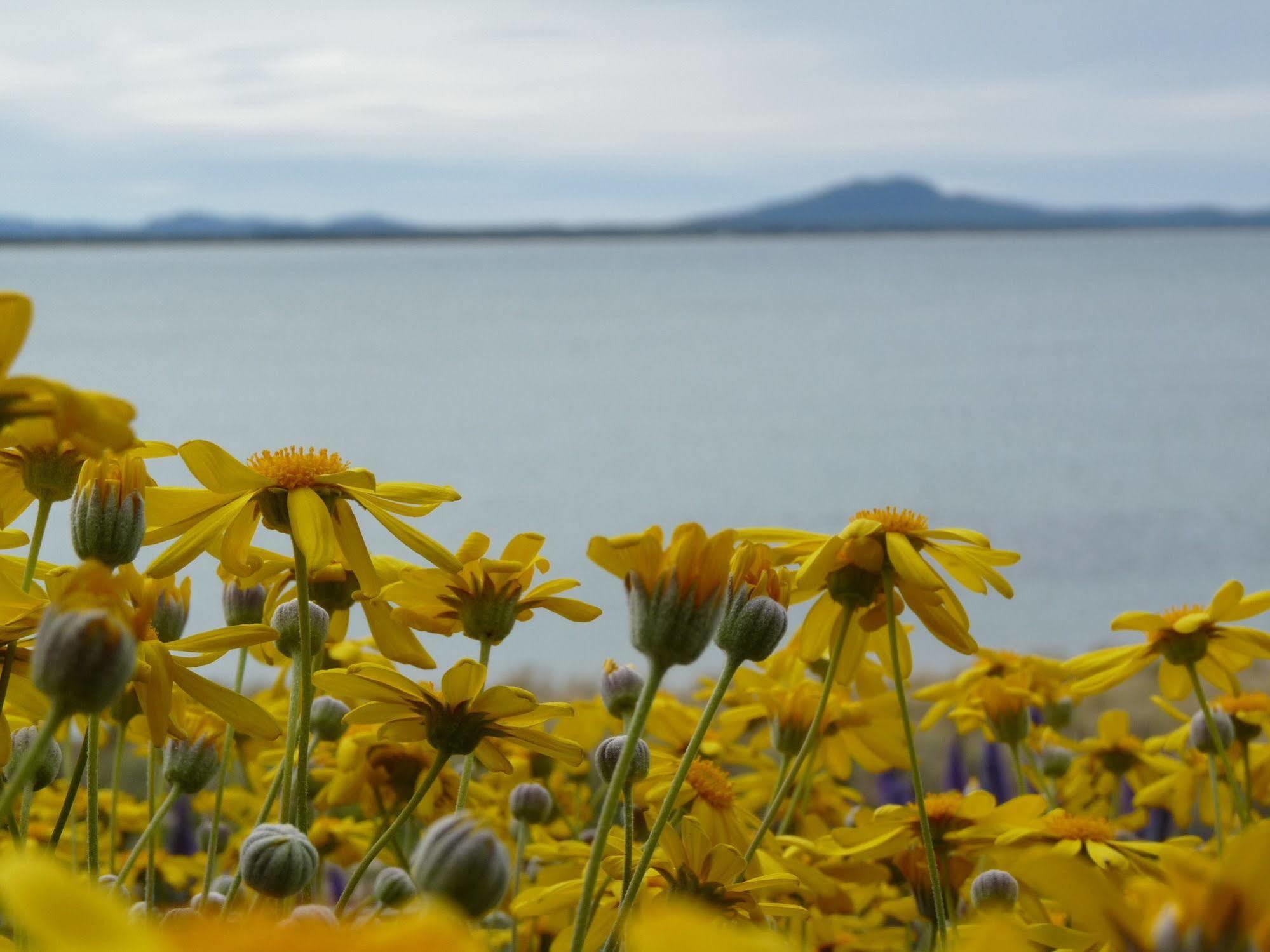 Swansea Motor Inn Tasmania Екстериор снимка